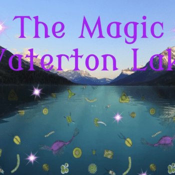 The Magic Waterton Lake